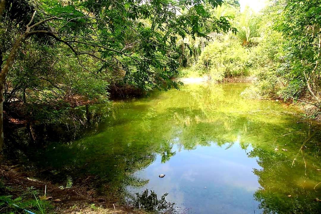 Tuaprodhome Khao Lak Phòng bức ảnh