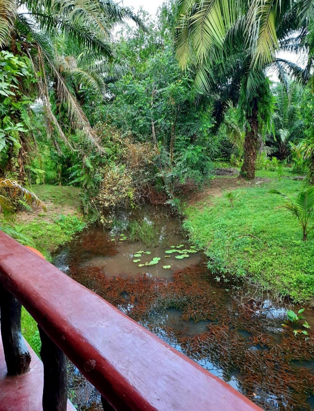 Tuaprodhome Khao Lak Phòng bức ảnh
