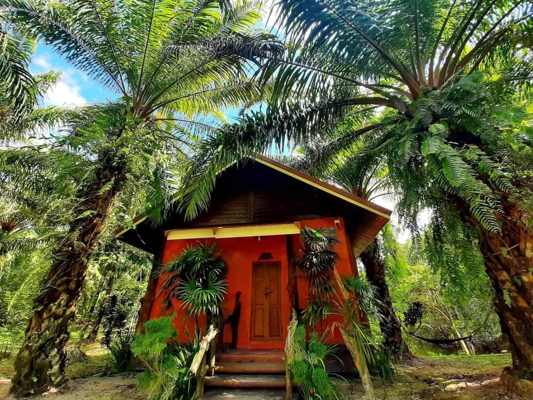 Tuaprodhome Khao Lak Phòng bức ảnh