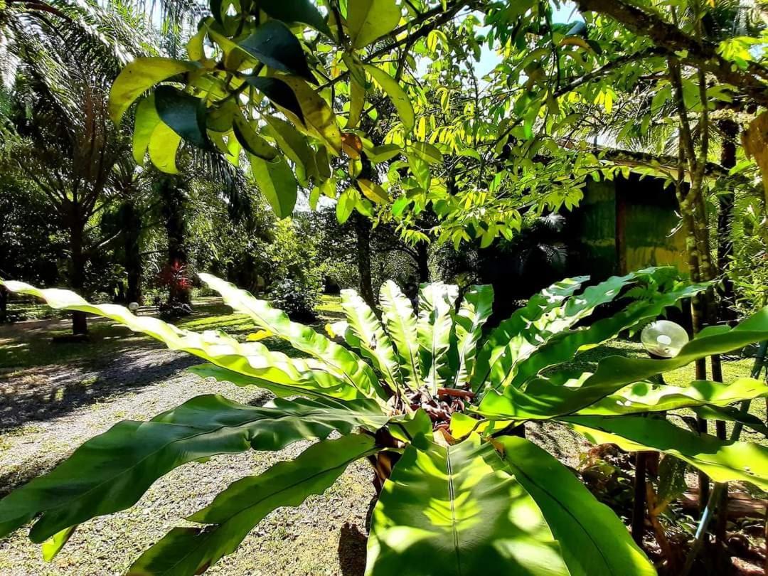 Tuaprodhome Khao Lak Phòng bức ảnh