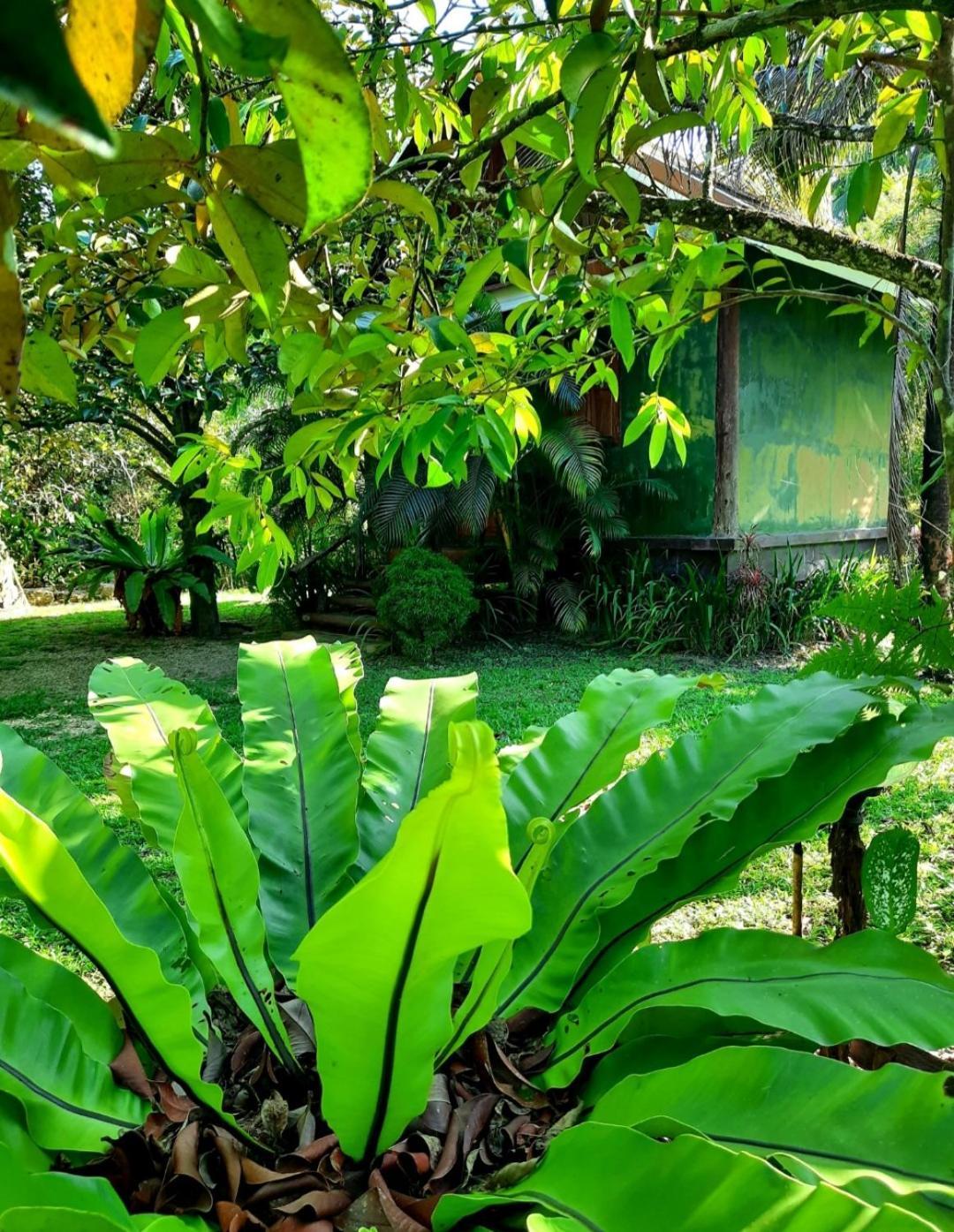 Tuaprodhome Khao Lak Phòng bức ảnh