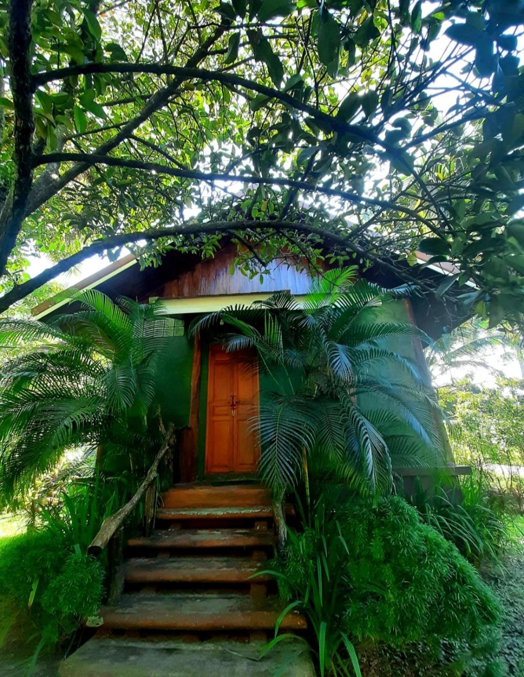 Tuaprodhome Khao Lak Phòng bức ảnh