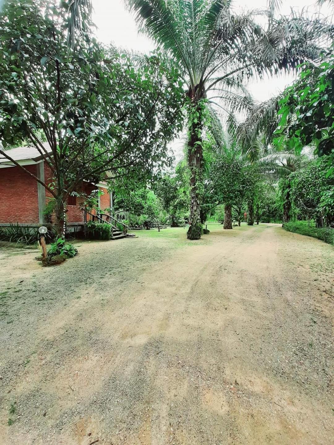 Tuaprodhome Khao Lak Phòng bức ảnh